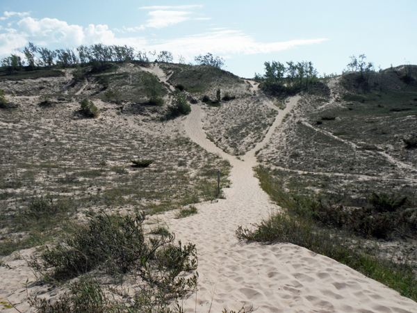 many trails to choose from
